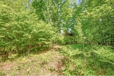 V/L 220th Avenue, Big Rapids, MI 49307 - Photo 8