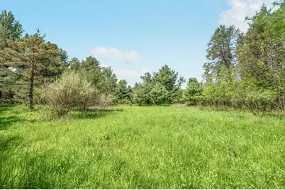 V/L 220th Avenue, Big Rapids, MI 49307 - Photo 22