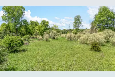 V/L 3rd St, Stanton, MI 48888 - Photo 12