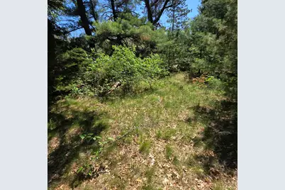 Wilma's Way #Parcel E, Baldwin, MI 49304 - Photo 8