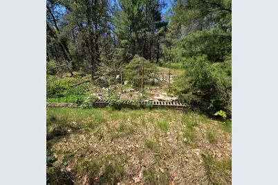 Wilma's Way #Parcel E, Baldwin, MI 49304 - Photo 6