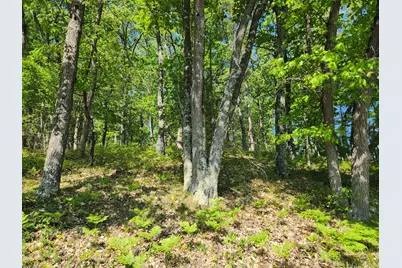4362 S Nugent Scenic Drive, Baldwin, MI 49304 - Photo 4