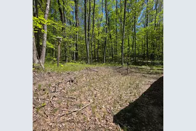 4796 90th Avenue, Evart, MI 49631 - Photo 2