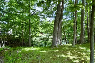 8000 Warren Woods Rd, Three Oaks, MI 49128 - Photo 12