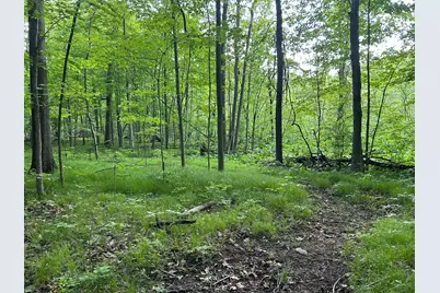 15300 Rome Road, Manitou Beach, MI 49253 - Photo 22
