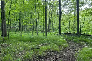 15300 Rome Rd, Manitou Beach, MI 49253 - Photo 22