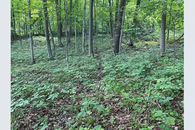 15300 Rome Road, Manitou Beach, MI 49253 - Photo 18