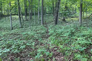 15300 Rome Rd, Manitou Beach, MI 49253 - Photo 18