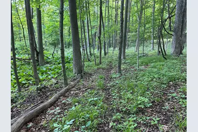 15300 Rome Road, Manitou Beach, MI 49253 - Photo 18