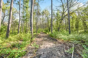 V/L Nelson St, Baldwin, MI 49304 - Photo 1