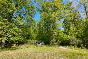 4196 W 4 Mile Rd, White Cloud, MI 49349 - Photo 50