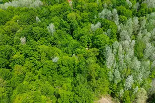 4196 W 4 Mile Rd, White Cloud, MI 49349 - Photo 58