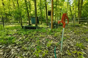 4196 W 4 Mile Rd, White Cloud, MI 49349 - Photo 40