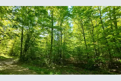 4196 W 4 Mile Road, White Cloud, MI 49349 - Photo 42