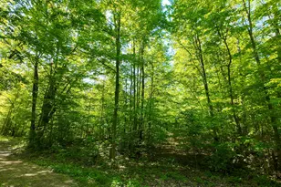 4196 W 4 Mile Rd, White Cloud, MI 49349 - Photo 42