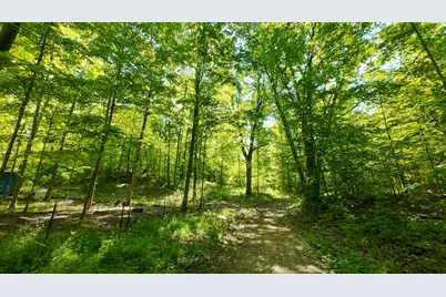 4196 W 4 Mile Road, White Cloud, MI 49349 - Photo 44