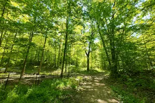 4196 W 4 Mile Rd, White Cloud, MI 49349 - Photo 44