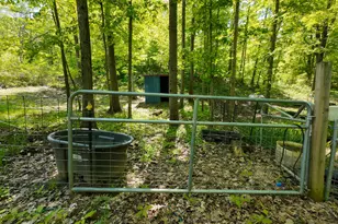 4196 W 4 Mile Rd, White Cloud, MI 49349 - Photo 38