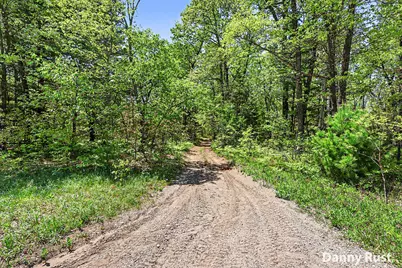 Vacant Land, Twin Lake, MI 49457 - Photo 4