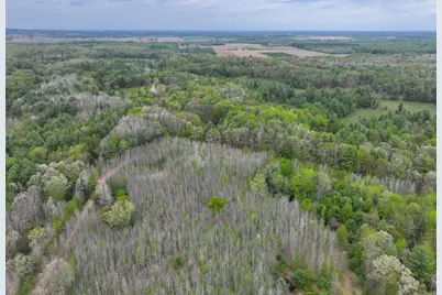 V/L 6.62A W Jefferson Road, Hart, MI 49420 - Photo 10