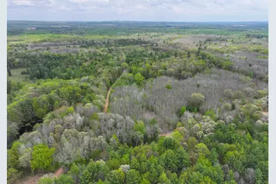 V/L 6.62A W Jefferson Road, Hart, MI 49420 - Photo 8