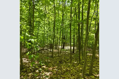 0 W Weaver Road #Parcel B per Survey, Shelby, MI 49455 - Photo 12