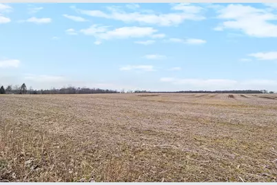 Vl N Fiske Road, Coldwater, MI 49036 - Photo 2