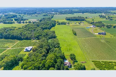 Gray Road #Parcel C, Baroda, MI 49101 - Photo 8