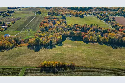Gray Road #Parcel C, Baroda, MI 49101 - Photo 10