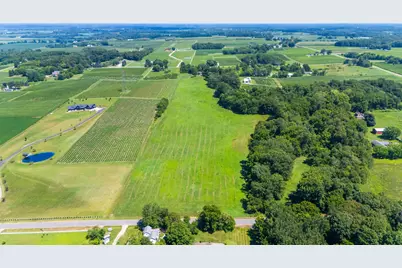Gray Road #Parcel C, Baroda, MI 49101 - Photo 14