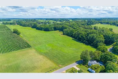 Gray Road #Parcel C, Baroda, MI 49101 - Photo 4