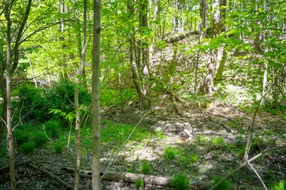 Parcel 1 8th Avenue, South Haven, MI 49090 - Photo 22