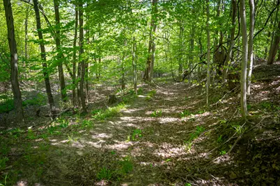 V/L 8th Avenue, South Haven, MI 49090 - Photo 28