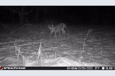 25500 U Drive S, Homer, MI 49245 - Photo 16