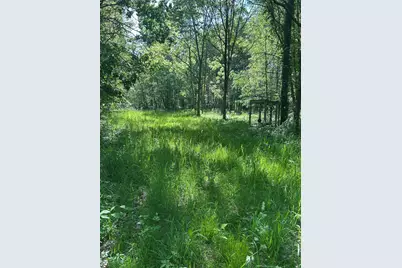 25500 U Drive S, Homer, MI 49245 - Photo 4