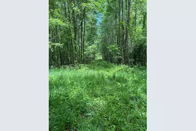 25500 U Drive S, Homer, MI 49245 - Photo 8