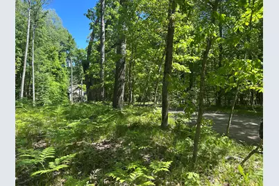 8297 Highland Trail #349, Canadian Lakes, MI 49346 - Photo 4