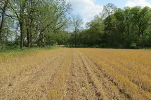 S Stoney Lake Rd, Jackson, MI 49201 - Photo 1