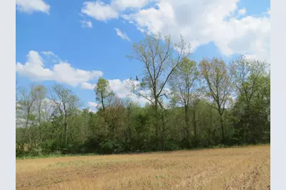 S Stony Lake Road #B, Jackson, MI 49201 - Photo 14