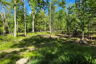 4869 E Free Soil Rd, Free Soil, MI 49411 - Photo 12
