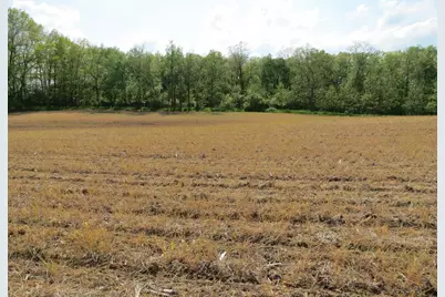 S Stoney Lake Road #A, Jackson, MI 49201 - Photo 12