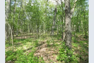 Giles Road #C, Brooklyn, MI 49230 - Photo 8
