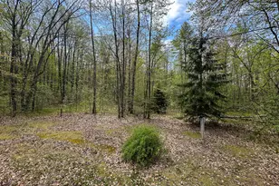2081 Deer Lake Rd, Harrison, MI 48625 - Photo 10