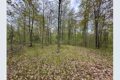 2081 Deer Lake Road, Harrison, MI 48625 - Photo 32