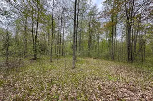 2081 Deer Lake Rd, Harrison, MI 48625 - Photo 32