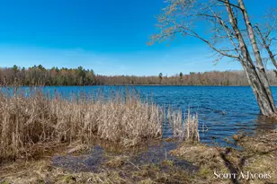 1125 Chaput Dr, Sears, MI 49679 - Photo 56