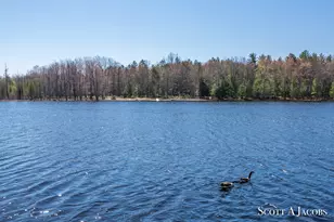 1125 Chaput Dr, Sears, MI 49679 - Photo 6
