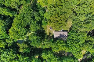16379 M-36, Stockbridge, MI 49285 - Photo 32