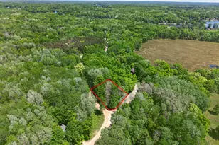 8104 Tanglewood Trail, Canadian Lakes, MI 49346 - Photo 32
