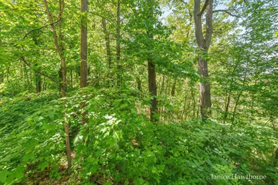 141 Irving Road, Middleville, MI 49333 - Photo 12